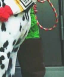 EMPORIO ARMANI | ブーツ