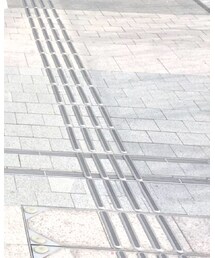 E hyphen world gallery | スカート