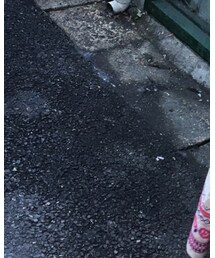 RAY CASSIN | ワンピース