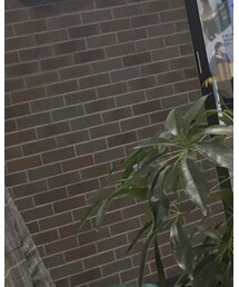 LOWRYS FARM | その他アウター