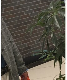 RALPH LAUREN | シャツ/ブラウス