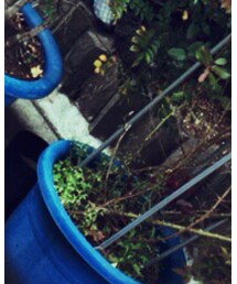 古着 | スラックス