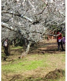 H&M | デニムジャケット