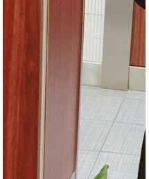 POLO RALPH LAUREN | Tシャツ/カットソー