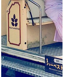 LODISPOTTO | Tシャツ/カットソー