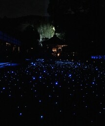 東山花灯路 | 青蓮院のお庭の青のライトアップ(その他)