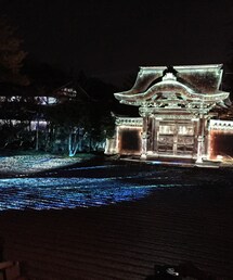 東山花灯路 | 高台寺のプロジェクションマッピング。
石庭にまで映し出すとは京都ならでは。(その他)
