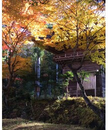 紅葉のお不動様🍁 | 紅葉のお不動様(その他)