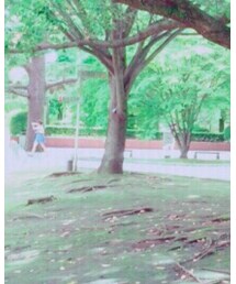 ZARA | Tシャツ/カットソー