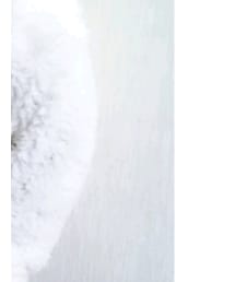 Disney | スウェット