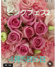 ピンクフェス2 | その他