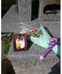 みにぃちゃんのお花 | その他