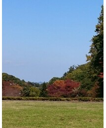 紅葉🍁 | その他