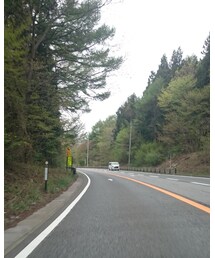 新緑が綺麗でした✨👀 | その他