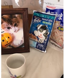 愛猫の命日😻 | その他