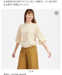 UNIQLO | シャツ/ブラウス