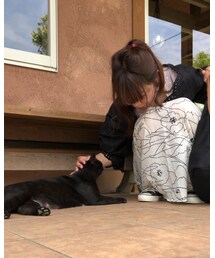 😻ナデナデ❤️ | その他