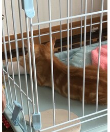 ペーパーの芯も遊び道具❤️ | 福袋/福箱