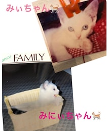 みぃちゃん🐈❤️みにぃちゃん🐈コラボ💕 | 福袋/福箱