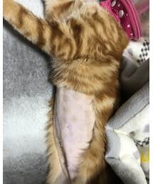 ラテのカプチーノが💧 | 福袋/福箱