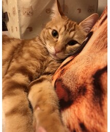 昨日のラテ❤️ | 福袋/福箱