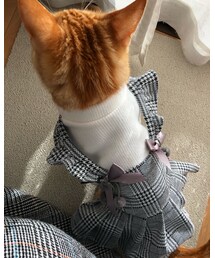 ラテ後ろ姿😻❤️ | 福袋/福箱