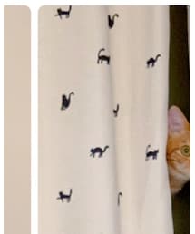 猫カーテンビバホーム❤️ | インテリア