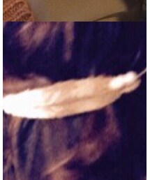 38rich | バレッタ/ヘアクリップ