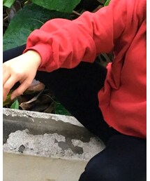 FOREVER 21 | レギンス/スパッツ