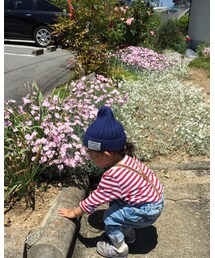 春ですね〜 | その他