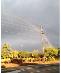 ブドウ畑に虹が✨ | 福袋/福箱