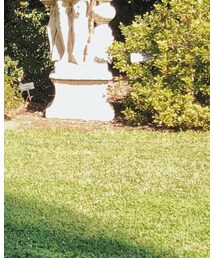 FOREVER 21 | サングラス