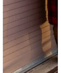 STEVE MADDEN | ブーティ