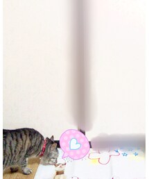 📷💋笑 | その他
