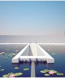 本福寺 | 本福寺 ( 淡路島 )(その他)