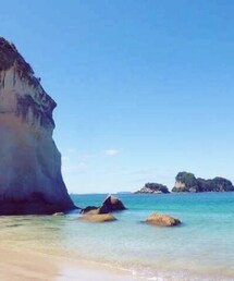 オークランド | AUCKLAND ( NZ )(その他)