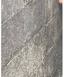 Birthday | パンツ