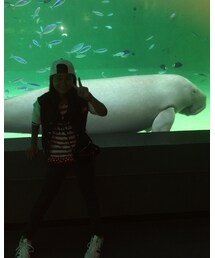 鳥羽水族館🐠 | トラベルグッズ