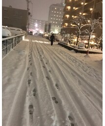 またもや雪❄️ | その他