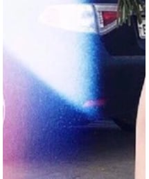 Narcissus | その他