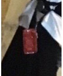 LOUIS VUITTON | キーケース/キーアクセサリー