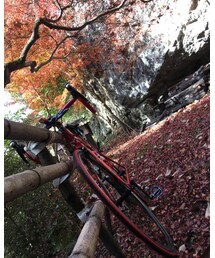 ロードバイク | その他