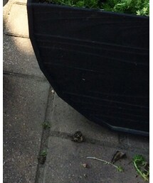 OLD NAVY | スニーカー