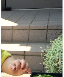 西松屋 | Tシャツ/カットソー