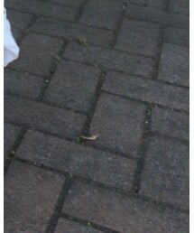 H&M | シャツ/ブラウス