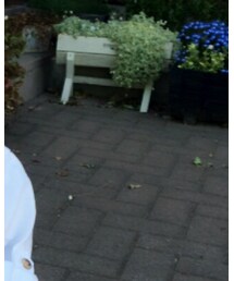 Handmade | Tシャツ/カットソー