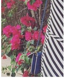 miniso | ショルダーバッグ