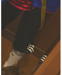 adidas | パンツ