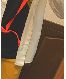 Dickies | シャツ/ブラウス