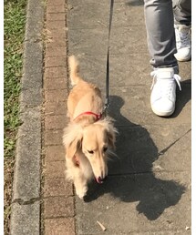 TAXI | ファッション雑貨